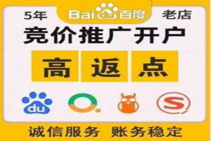 百度SEO推广公司成功案例：助力企业实现流量暴增